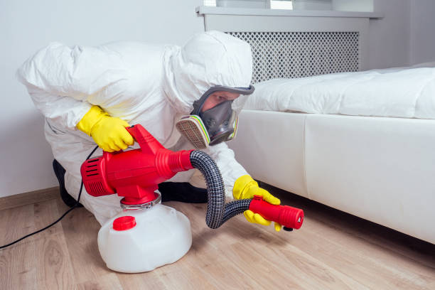 Best Flea Control Services  in Kittery Point, ME