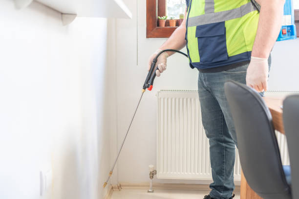 Best Pest Removal Services  in Kittery Point, ME